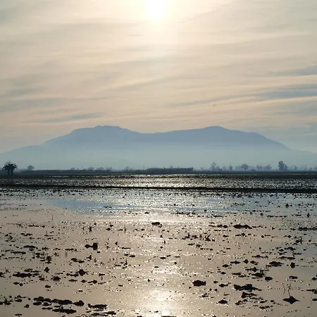 Διαμέρισμα Casa Delta Del Ebro Deltebre